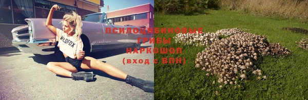 ГАЛЛЮЦИНОГЕННЫЕ ГРИБЫ Магадан