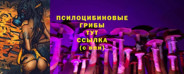 mdpv Магас