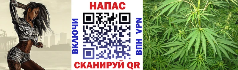 Марихуана ГИДРОПОН  МЕГА   Далматово 